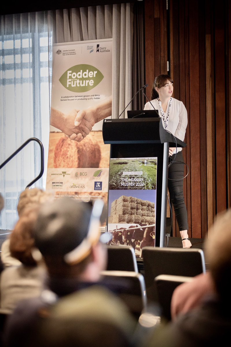MurrayDairy's tweet photo. Drought preparedness, maximising feedbase and human food trends were just some of the topics discussed on Day 1 of Murray Dairy’s The Murray Muster. Fantastic to have the local dairying community across northern Vic and Southern NSW together again. Now for Day 2! @Dairy_Australia https://t.co/v0t7jW4GV2