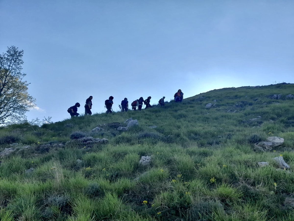 contssabrunilde's tweet photo. La fioritura delle giunchiglie #montecroce #AlpiApuane https://t.co/E3nlX7ts8H