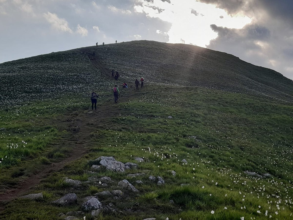 contssabrunilde's tweet photo. La fioritura delle giunchiglie #montecroce #AlpiApuane https://t.co/E3nlX7ts8H
