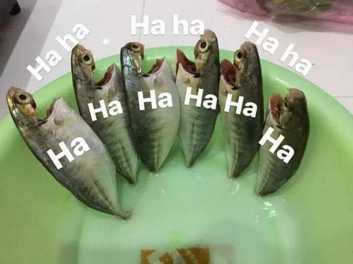 Sar_Saparella's tweet photo. @detikcom Jangankan publik, ikan asin saja puas terhadap Jokowi 😜😜 https://t.co/RUpomnGTnE