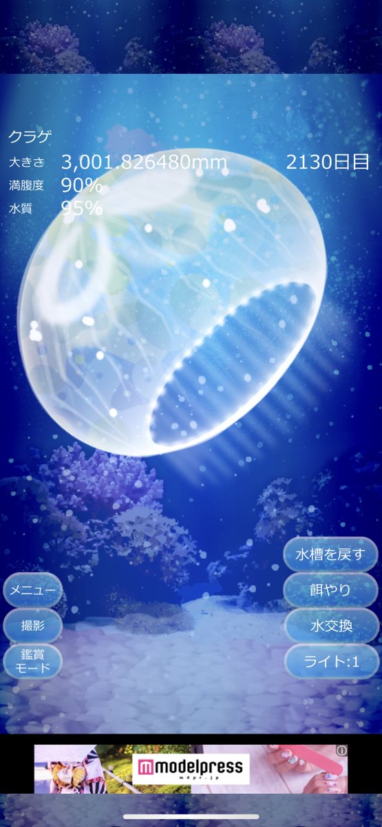 クラゲ育成ゲームがめちゃくちゃホラー 癒しを求めていたのに 話題の画像プラス クラゲ育成ゲームがめちゃくちゃホラー 癒しを求めていたのに 話題の画像プラス