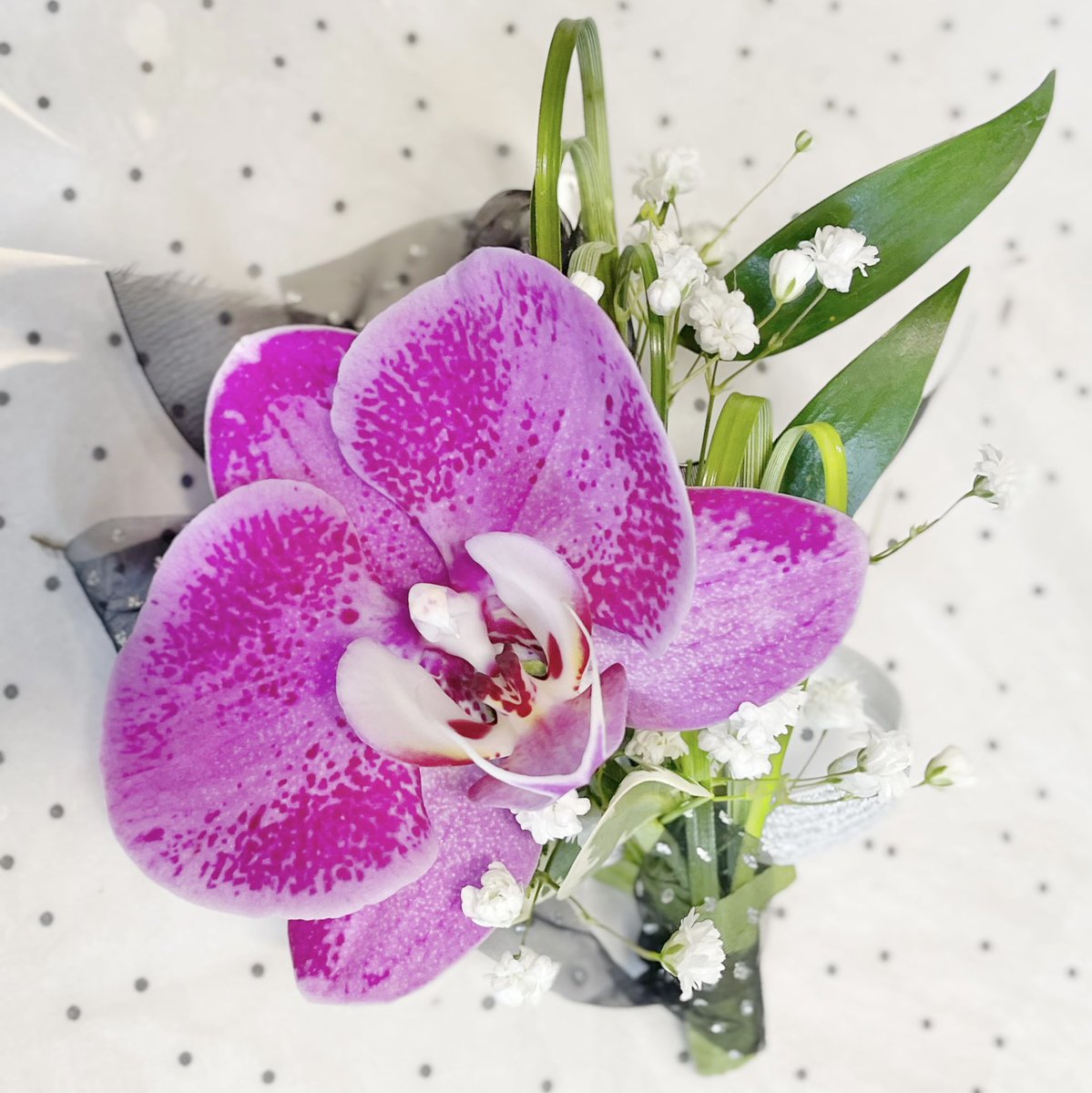 MixedBlooms's tweet photo. Prom season is here and we are ready for it! Baby roses are the most popular choice, but orchids get some love, too. Give us a call if you still need to order your #corsage or #boutonniere (also avail on our site). 🌹
#prom #seniorprom #promflowers https://t.co/s99yEZx8fC
