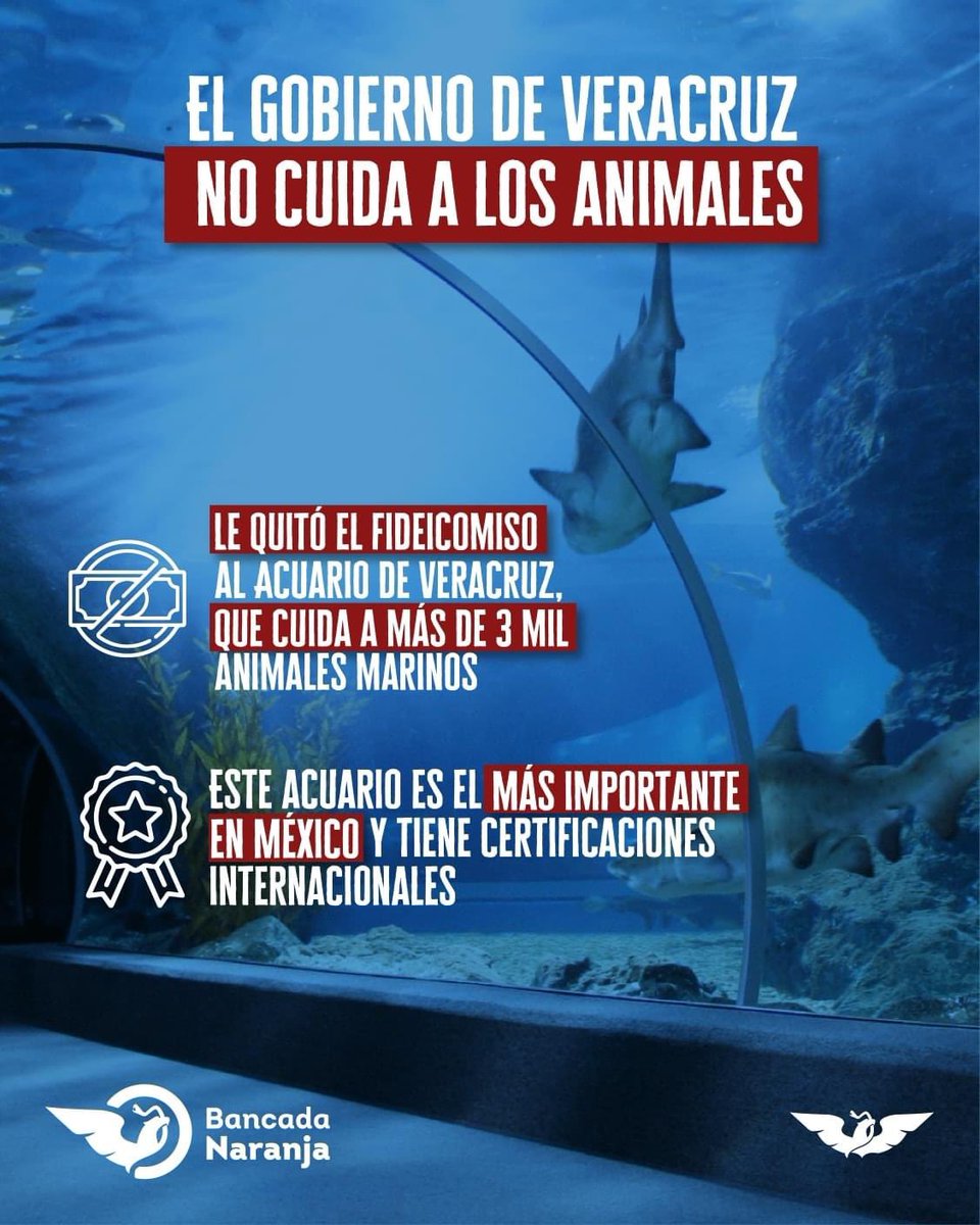 José Ángel Deschamps Vargas (@joseandeschamps) on Twitter photo 