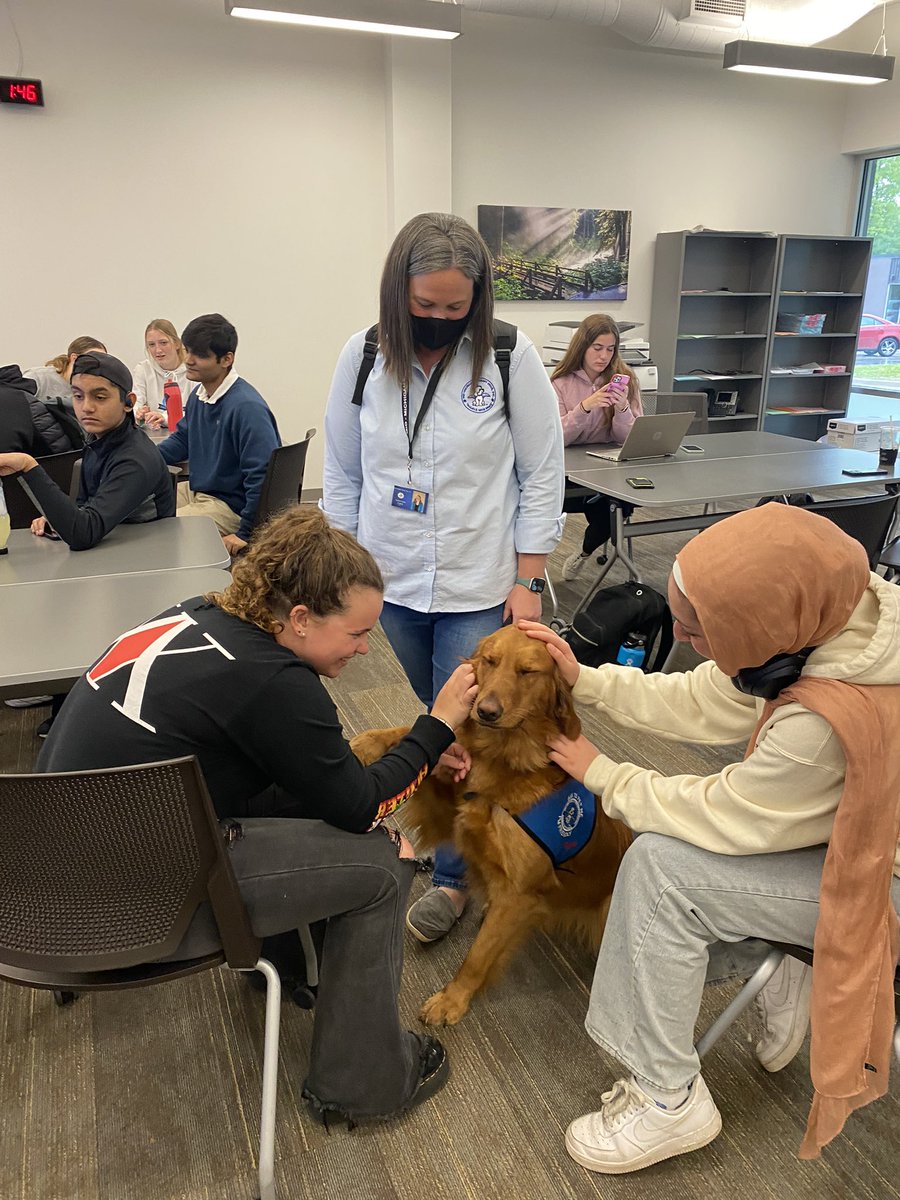 CollisNoelle's tweet photo. Biomed 1 and 2 students got a visit from Poppy the therapy dog today!  End of the year stress is building as Biomed 2 seniors finish writing up their research and Biomed 1 juniors reach out to medical professionals for internships! @bhswatson @BHBlackHawks  @BhsFairman https://t.co/YlXS28ey5I