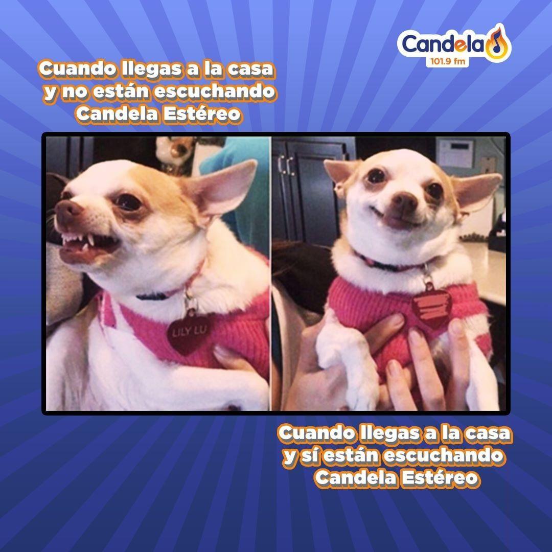 CandelaBogota's tweet photo. ¡Escucha Candela Candela Candela Candela Candela, sooolo éxitos! 🔥🎶⁣

📻 𝐂𝐚𝐧𝐝𝐞𝐥𝐚 𝟏𝟎𝟏.𝟗𝐅𝐌 ⁣⁣🔥
💻 https://t.co/UI8LpK3X4O https://t.co/pL7e8EYecF