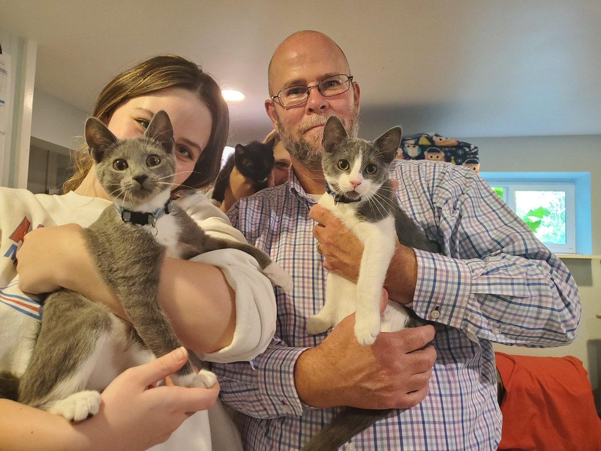 melbalgavy's tweet photo. These two little boys may be joining our family soon. Thank you For Cats Sake for taking care of so many kitties. @whos_your_data @hbalgavy https://t.co/muVlDjgokb