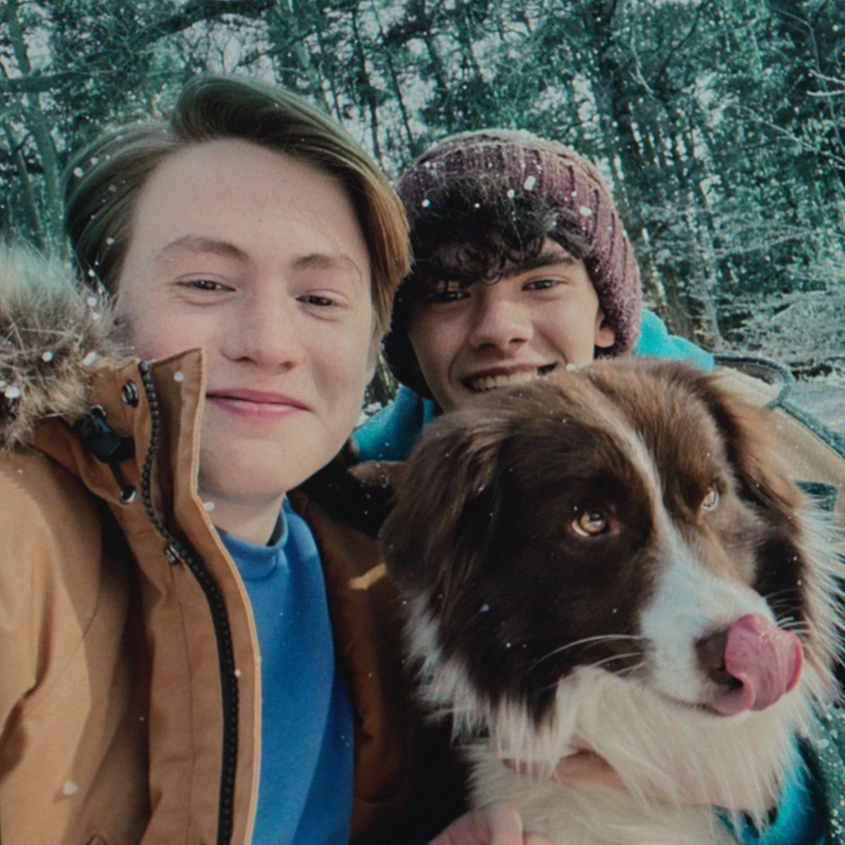 charliesprjng's tweet photo. family pic https://t.co/CCtIJW0VhG