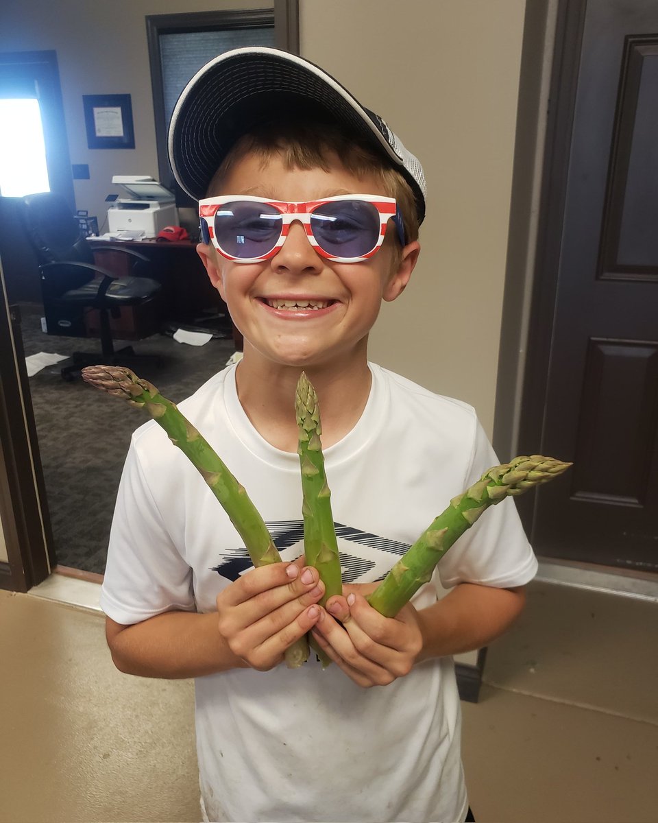 elyfarms1's tweet photo. Picked some Jumbo Spears tonight! #nebraska #asparagus https://t.co/Nj7Tbjo7Tl