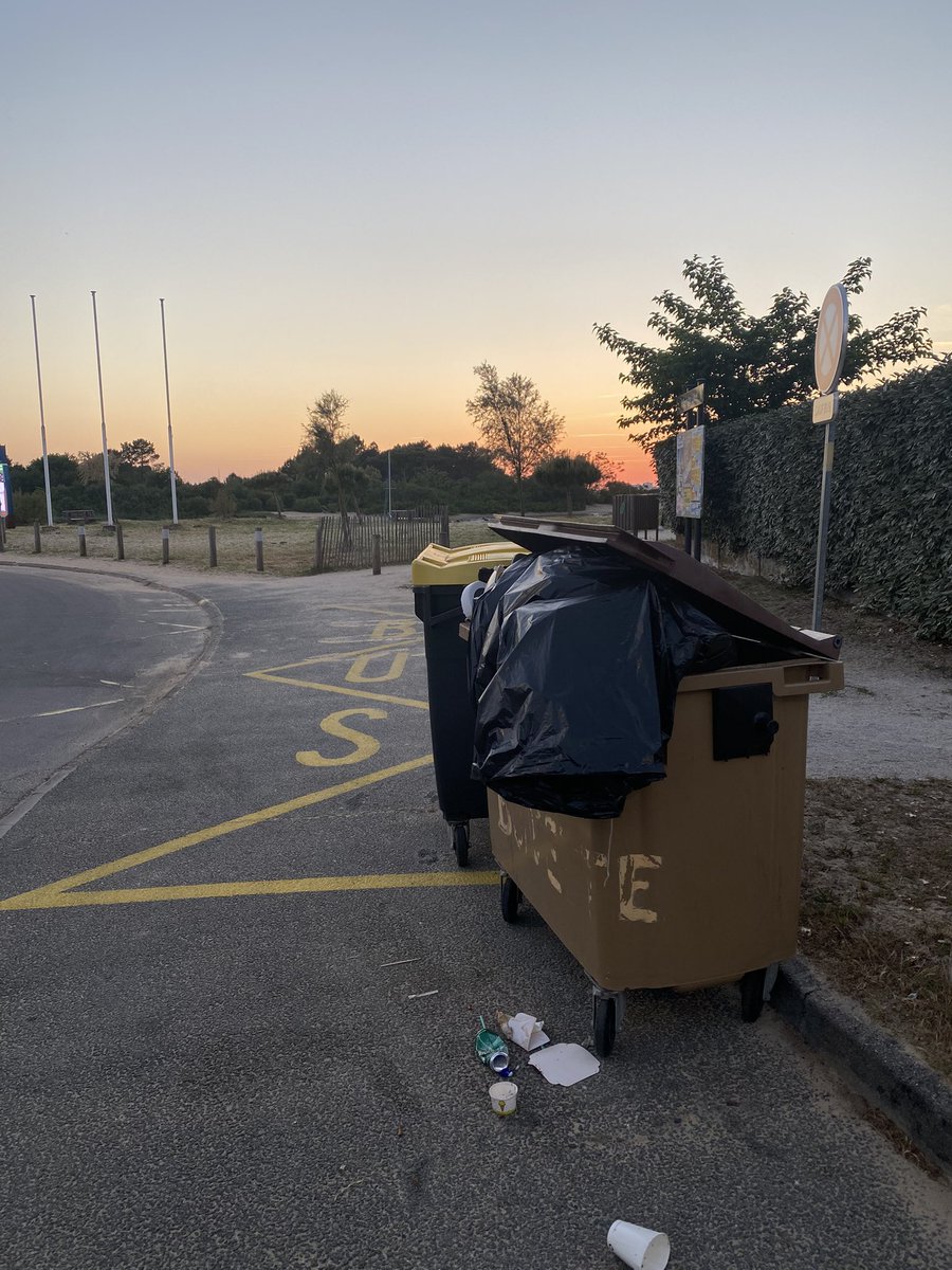 DeQuietude's tweet photo. @maud_ite @mhdesesgaulx @parismestras Poubelle de chez maman en attente depuis 1 semaine… Belle odeur iodée 🤮! https://t.co/nqyaxi11Q4