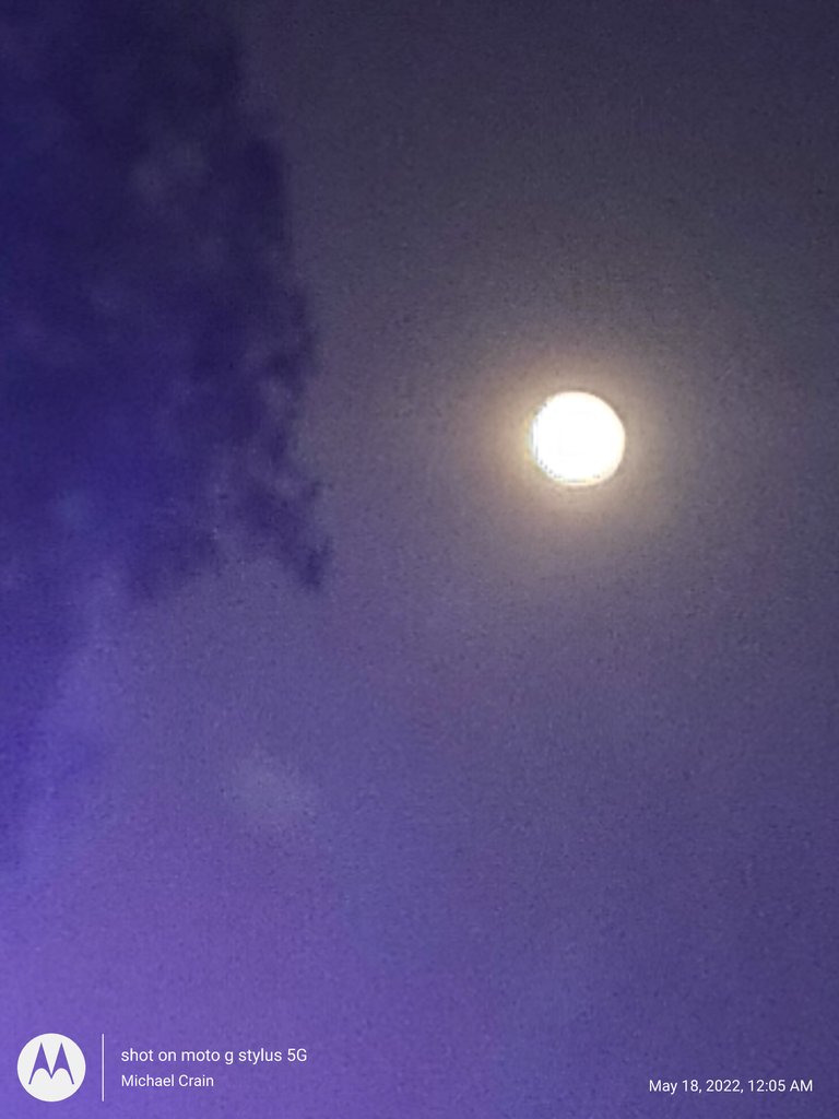 Absolutely Beautiful Coin Prophetess tweet media