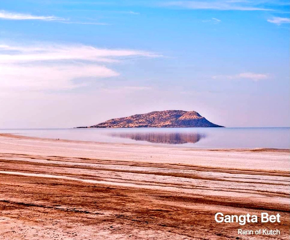 કચ્છના રણમાં સ્થિત મનમોહક #ગાંગટા_બેટ...

અફાટ રણમાંથી પસાર થતા #GangtaBet જવાના રસ્તાની ચોતરફ પાણી સુકાઈને મીઠામાં પરિવર્તન થયા બાદ સર્જાતું સફેદ રણનું મનમોહક દ્રશ્ય કરાવે છે વિદેશના બરફ આચ્છાદિત પ્રદેશોની અનુભૂતિ

#GloriousGujarat #GoonjeGujarat #GazabGujarat #Kutch #Gujarat