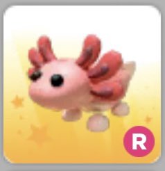 lilgem_alt's tweet photo. ride axolotl giveaway!
 how to enter~ follow me + retweet 
best of luck to those who enter:)
#adoptmegivaway #adoptmegw https://t.co/ikK8Jbtvrc