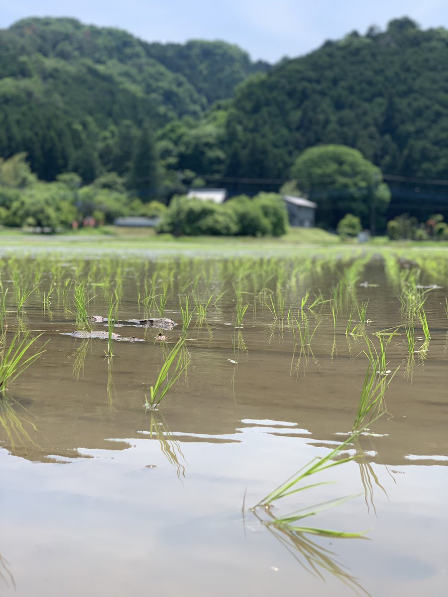 pickles_5's tweet photo. いやあ、キラキラしてる。 https://t.co/g0pFNtxkZP