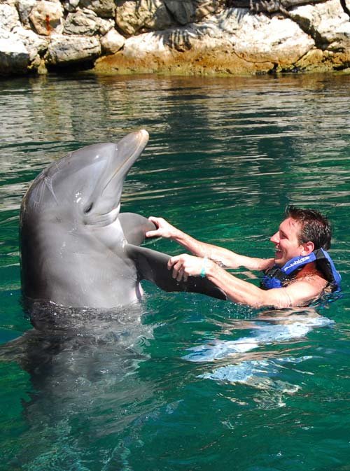 @OOC_matero Una de estas te sirve?