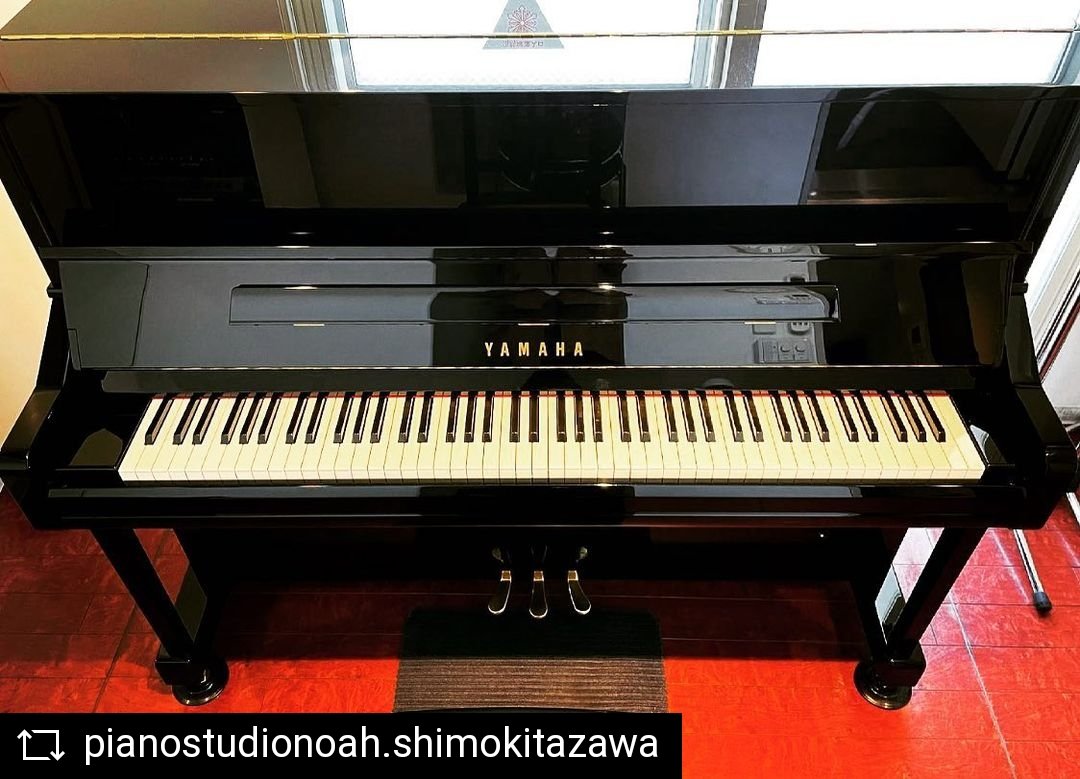 PianoStudioNOAH's tweet photo. 【#NOAH調律情報】
下北沢店

本日4Ast(4帖) #YAMAHA YU11 の調律が完了致しました🙌🎶

平日、土日祝どのお時間帯でも1時間¥1,320のリーズナブルなお部屋です💡

是非ご利用下さい💁‍♀️♪

#ピアノスタジオノア
#下北沢 https://t.co/XrIM4n6Vin