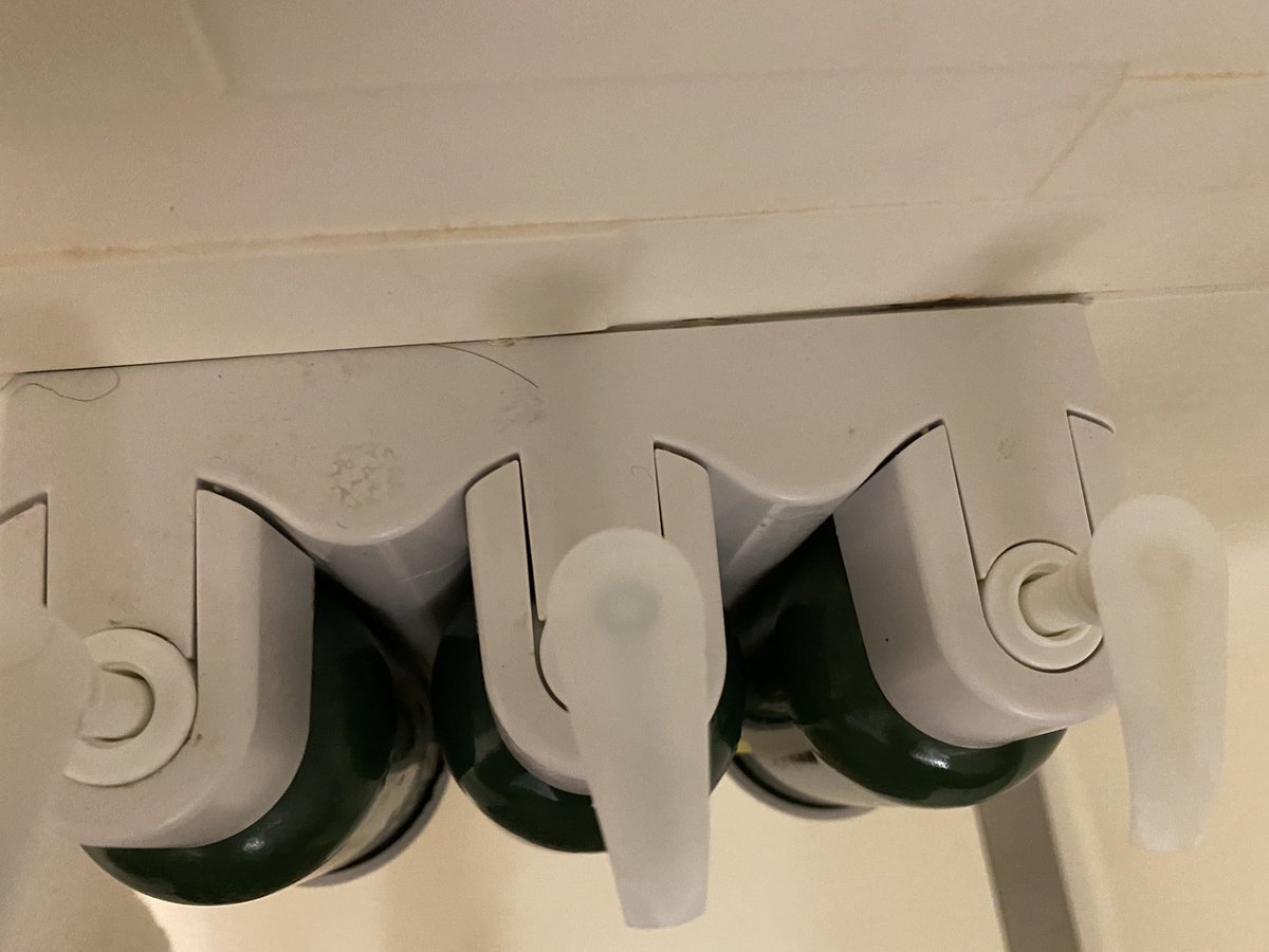 lahrud's tweet photo. @MBonvoyAssist This is only a few puctures with the water not draining and mold. smh. As I stated to your staff more than once. I have severe asthma. This actually made me sick. MOLD. I am still on medication from what supposed to be a joyous occasion. https://t.co/8whGBL9XHq