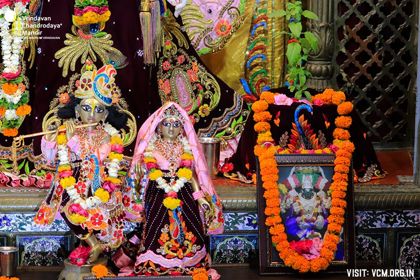 VCMVrindavan's tweet photo. ❀𝐻𝑎𝑟𝑒 𝐾𝑟𝑖𝑠ℎ𝑛𝑎❀━
🙏🏽 Today's Darshan 📿
🌷 Vrindavan Chandrodaya Mandir 🌷
━❀19/05/2022 ❀━
#krishna #radhaa https://t.co/hDMNV1E7IS