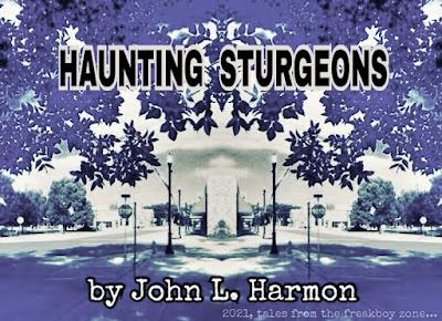 JLH_Collective's tweet photo. HAUNTING STURGEONS is a story about how the past never lets us go and royally f**ks us up. 
#serializednovel 

https://t.co/taTNwNkIZt https://t.co/9yiqfbFokM