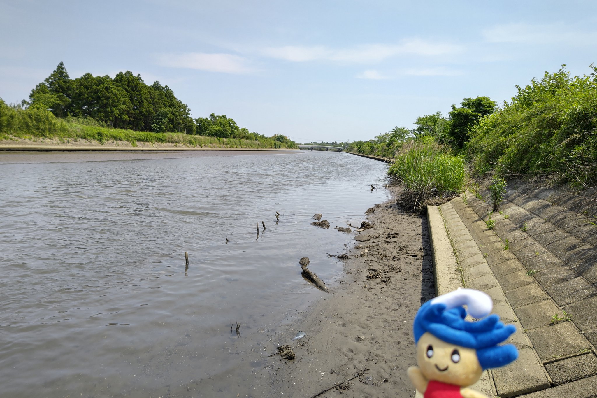 南白亀川 Twitter Search Twitter