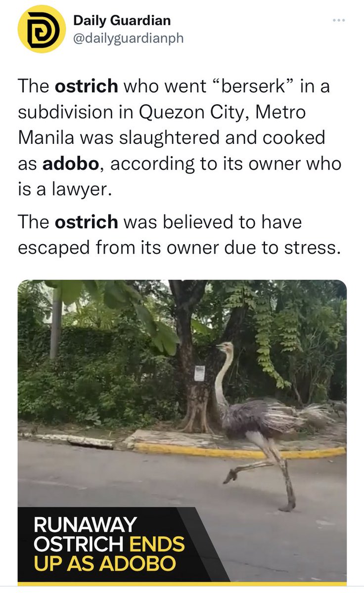 Dex_and_daCity's tweet photo. @ALOveyoutoo @zoeandin Best part of the saga https://t.co/DwIPuiK05u