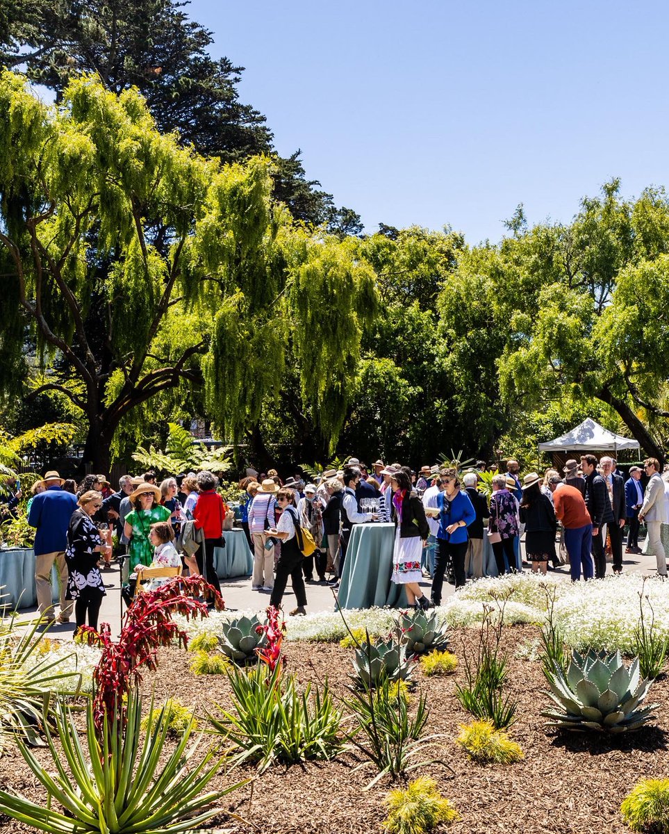 San Francisco Botanical Garden tweet media