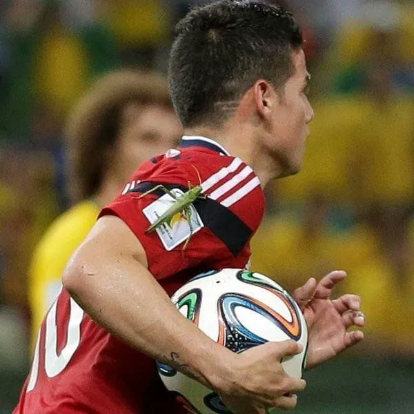 James Rodríguez with his favourite grasshopper