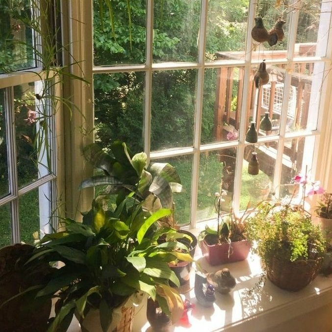 ☆ she could've k!||ed you, she had every right ☆

                              ♡ + ↻

☆ you just caught her off guard tonight ☆