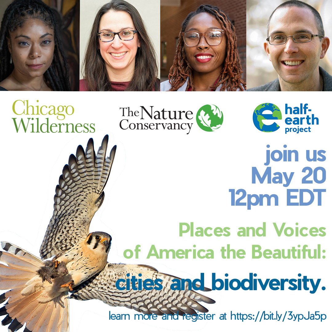 Join a discussion on the role of cities in meeting ambitious nature conservation goals with TNC experts @RobIMcDonald and Myriam Dormer, @chiwilderness, and @EOWilsonFndtn.

5/20 at 12 pm ET. Register for free: nature.ly/3lu9e7H #AmericatheBeautiful #NatureNow