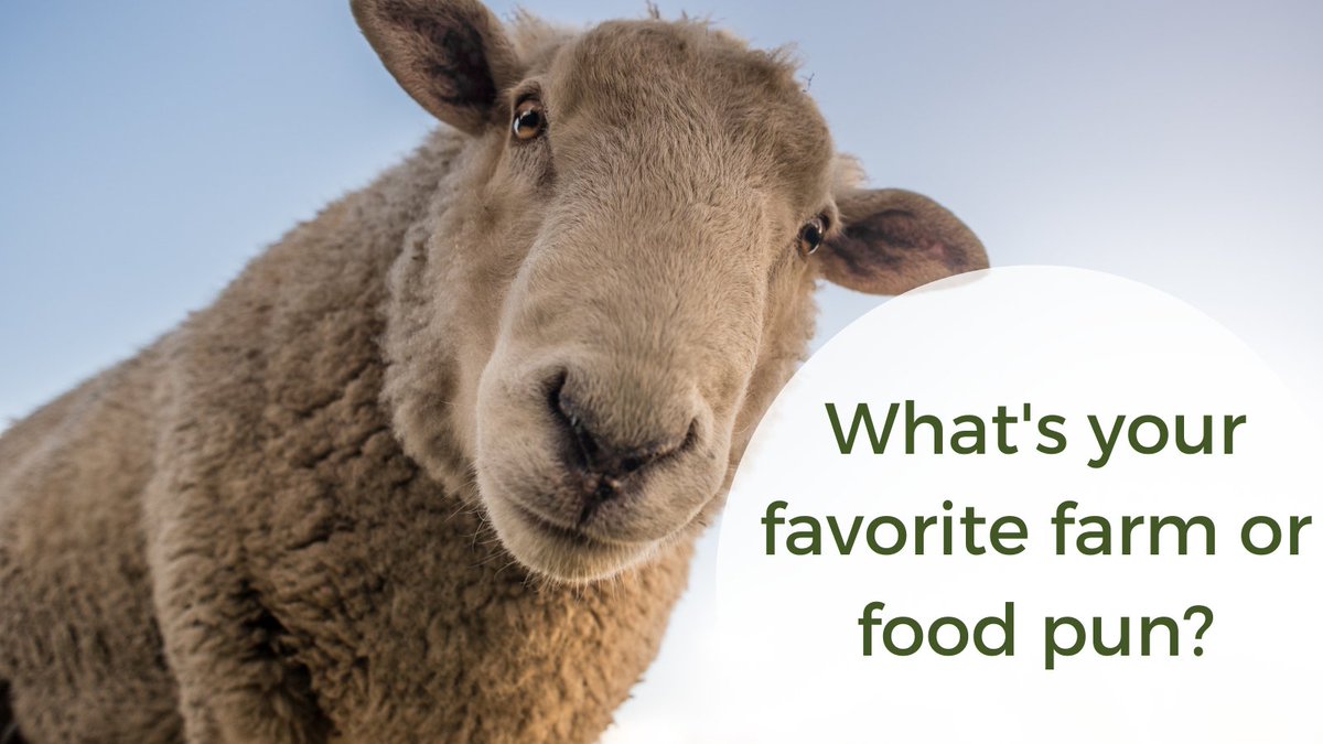 We LOVE puns. We LIVE for puns! So, we’ve gotta ask…What’s your favorite food or farm pun? #Farm24VT