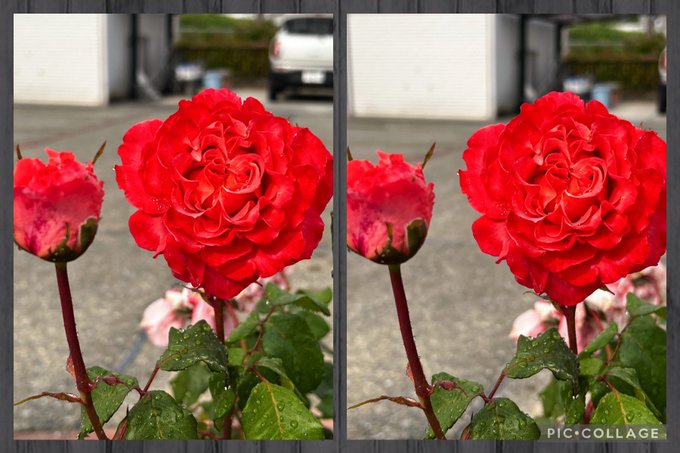 藤田重信 S Recent Tweets 10 Whotwi Graphical Twitter Analysis