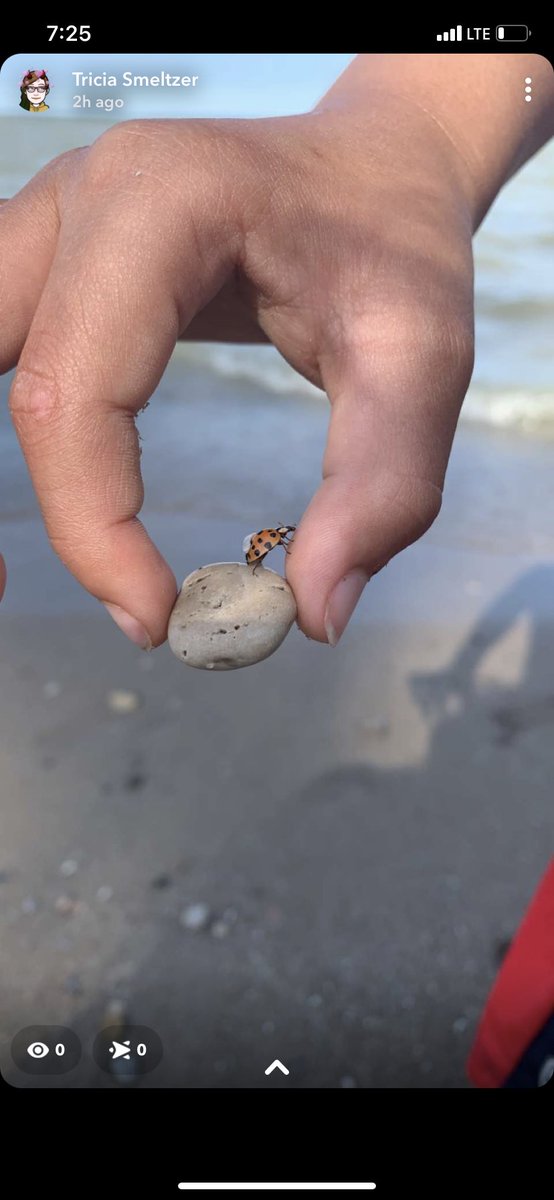 I LOVE BEING OUT IN NATURE WITH MY SON AND THE LAKE IS OUR FAVORITE PLACE