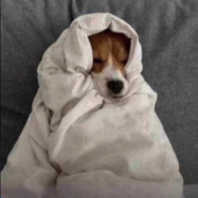 bash15a's tweet photo. #NewProfilePic https://t.co/7zrRKhIxHf