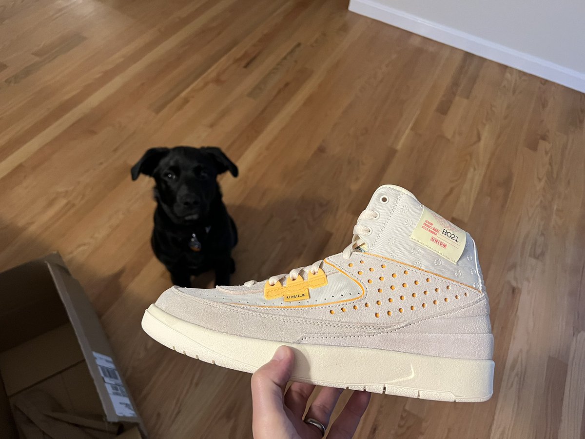 thomas_palmieri's tweet photo. Union x Jordan 2 Rattan ft. my son https://t.co/9zTioakskk
