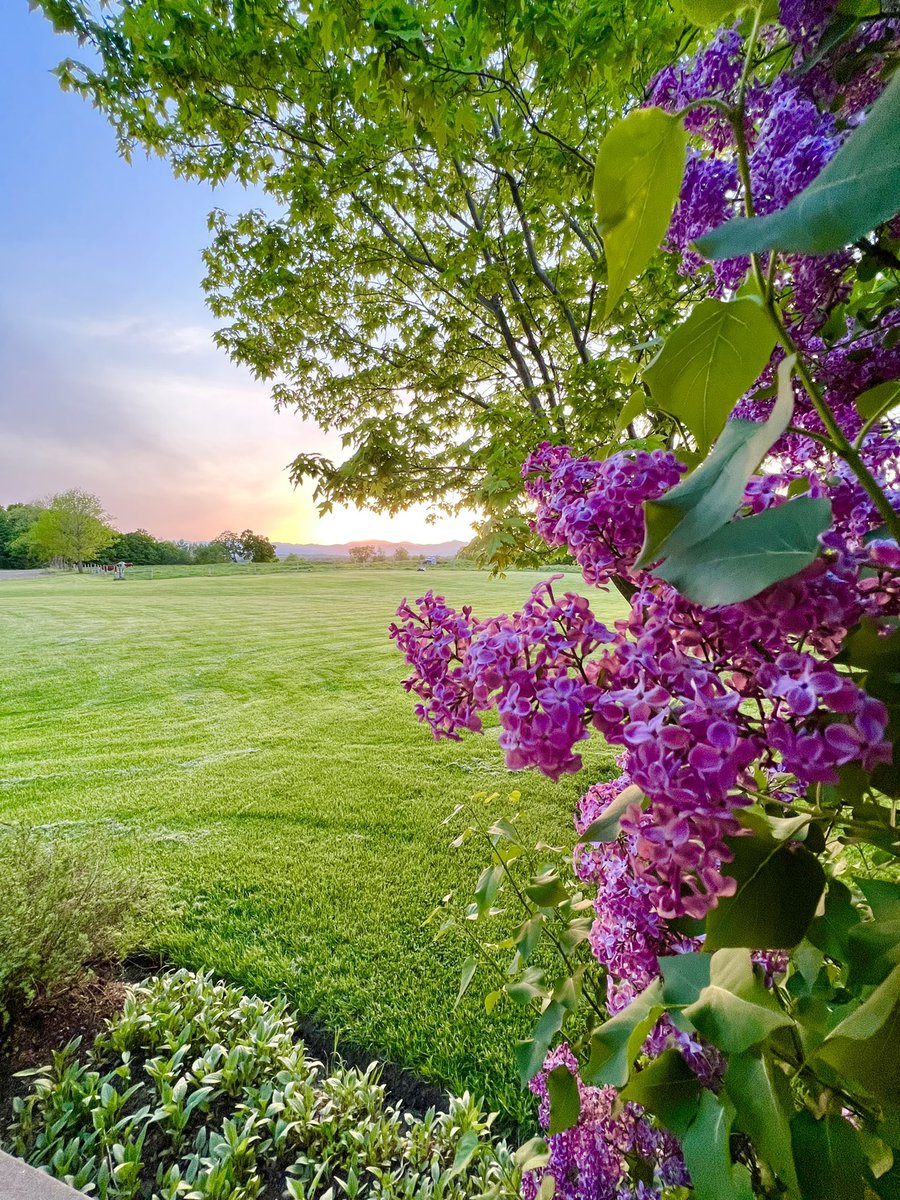 The sun is going down, but there’s still lots more #Farm24VT to enjoy! Farmers + food producers are going strong until 5am. Come on over to IG or FB—that’s where the bulk of the action is happening today!