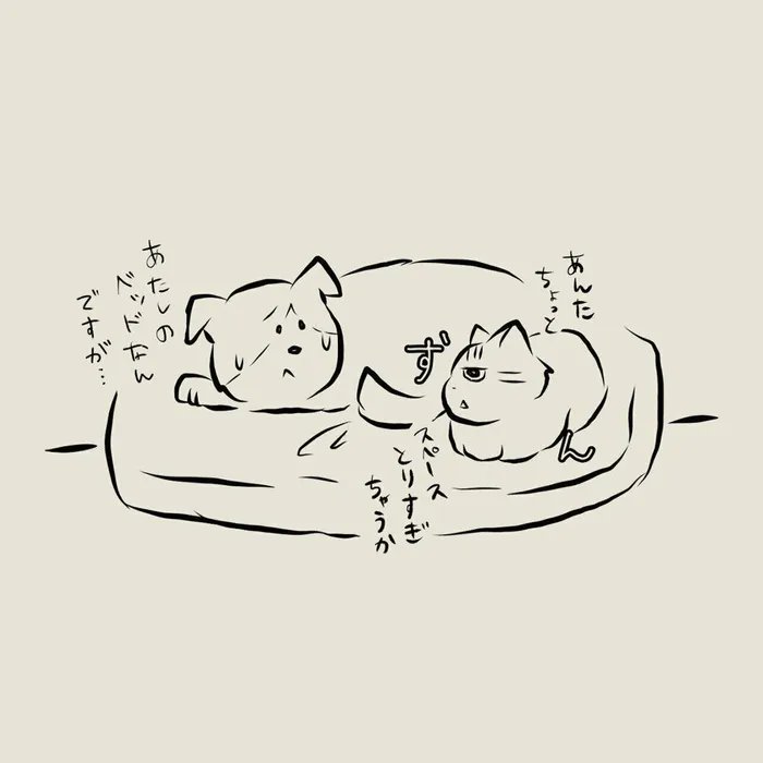 元野良犬vs元野良猫!! 寝床の取り合いはどっちが勝つのか!? 【連載】交通事故にあった猫を拾いました#65|ねこのきもちWEB MAGAZINE https://t.co/x1ayPnPRTT