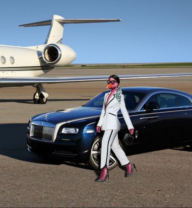 Mrs Bird Kyle # 1
1/1 
As the wife of one of the top brass in the Mafia do you think she's going anywhere without the drip?

#nft #nfts #nftcollector #nftcollectors #nftdrop #NFTCommunity #opensea
#OpenSeaNFT #Polygon #NFTTHAILAND
opensea.io/assets/matic/0…