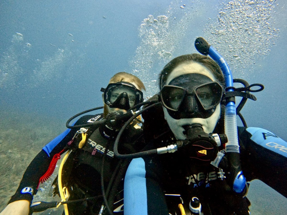 aquaticventures's tweet photo. You don’t need to see their mouth to know they are smiling. How happy does diving make you? #protip #aquaticventures #tusa #diverite #scuba #scubadiving #learnscuba #learntodive #fortlauderdale #sdi #fortlauderdalebeach #saltlife #padi https://t.co/2nm0EN1Hxn