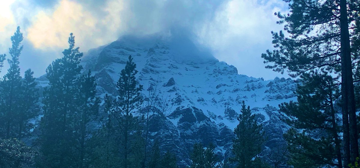 Washed_Up's tweet photo. @StanWil44579968 @CTVdavidspence @CTVStanfield @iamwendddy @TiffanyLizee Tons of #snow up top on #MtKidd in #Kananaskis, the next 48hrs is going to deposit a lot more, #ShareYourWeather #Abstorm #May2022 https://t.co/or9JAYfXRW
