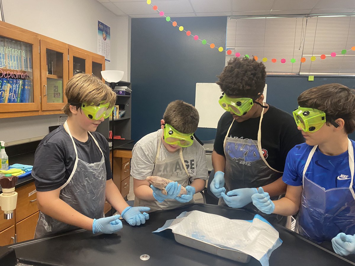 HMSAVID_Gordon's tweet image. First day of fetal pig autopsies for my 2nd period. External Autopsy! #ProudtobeaBronco #HMSScience @HMS_PTA