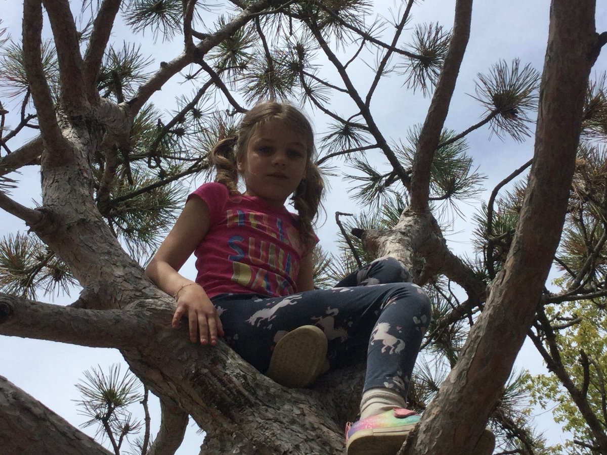 SYD_books_LDSB's tweet photo. Fun afternoon at #CityPark #thebesttreeever #Imflying #freshair @MsO_LDSB @SydenhamPS_LDSB π³π https://t.co/4qi56vaZ3N