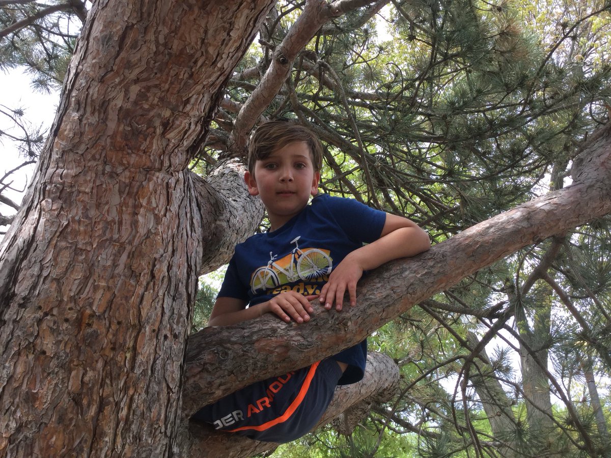 SYD_books_LDSB's tweet photo. Fun afternoon at #CityPark #thebesttreeever #Imflying #freshair @MsO_LDSB @SydenhamPS_LDSB π³π https://t.co/4qi56vaZ3N