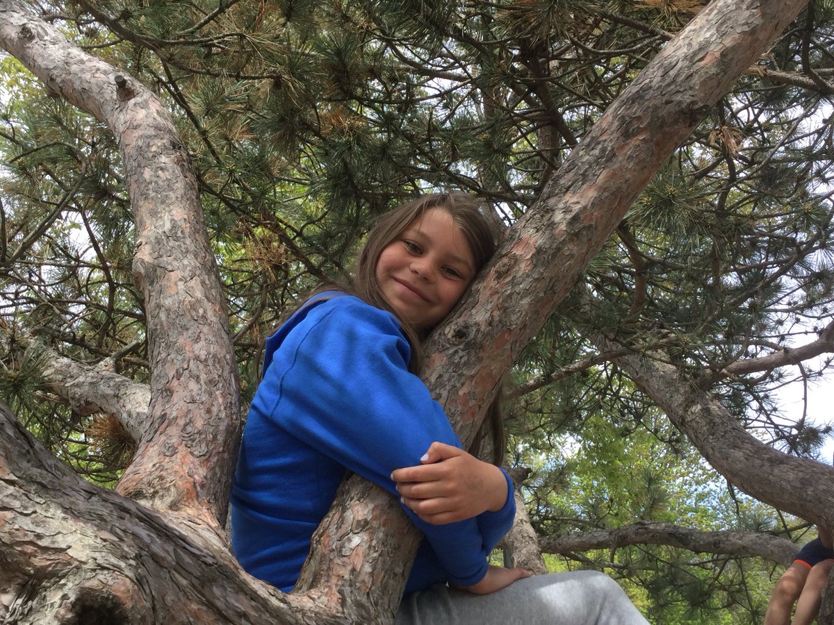 SYD_books_LDSB's tweet photo. Fun afternoon at #CityPark #thebesttreeever #Imflying #freshair @MsO_LDSB @SydenhamPS_LDSB π³π https://t.co/4qi56vaZ3N