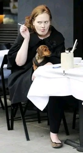 Scadaydreamer's tweet photo. that would be my face everywhere😂 https://t.co/HP0G8lCTaN