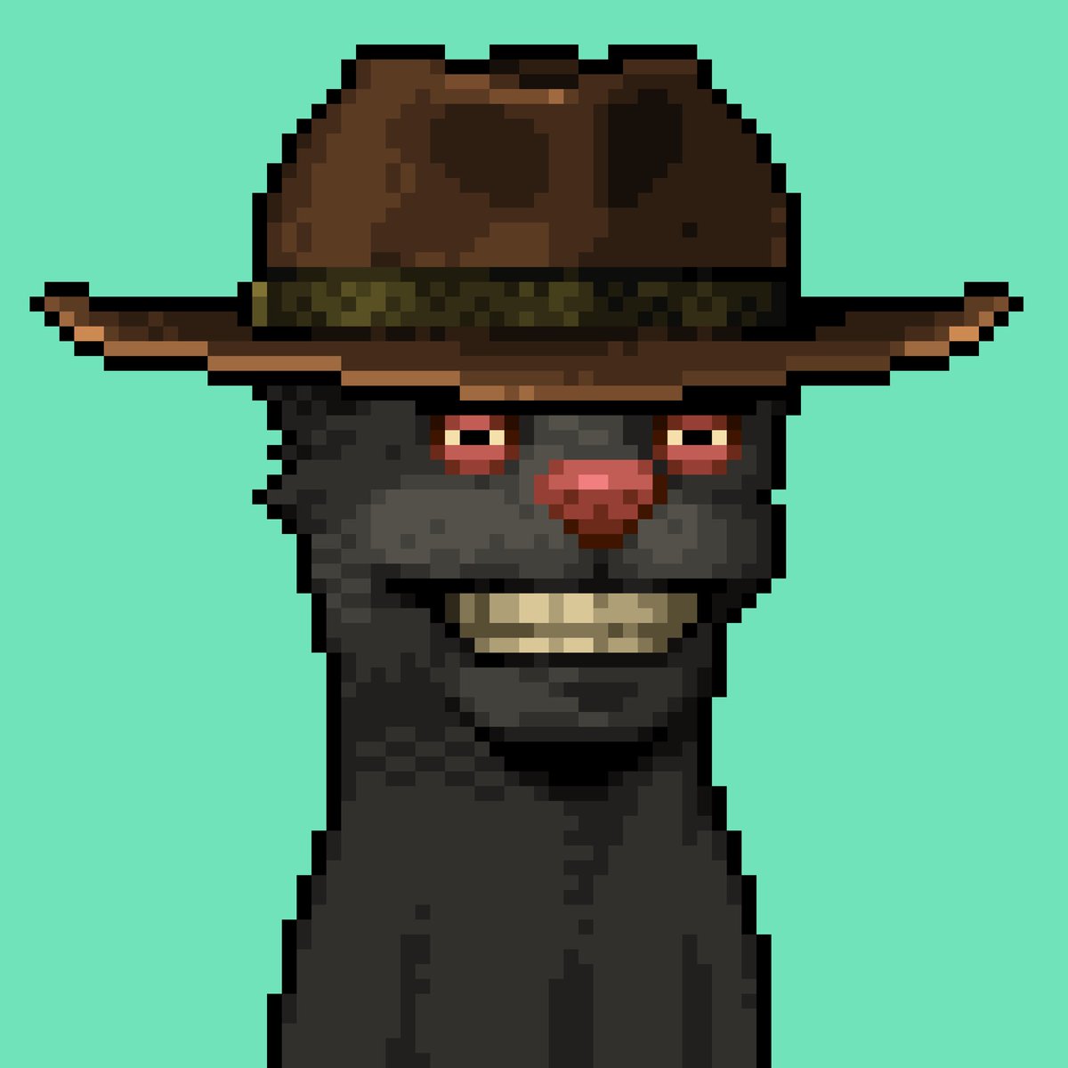 rckymtn.eth tweet media