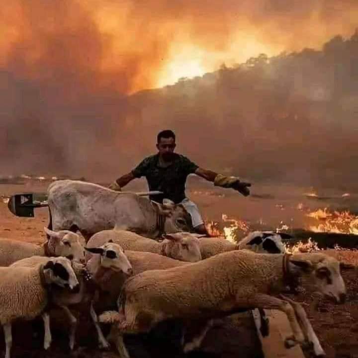 🚨 عاجل و خطير
#تحرك_مشبوه تنقل حوالي 35 عنصر (وجوه شبانية) من المخابرات الإرهابية إنطلاقا من مركز بن عكنون بسيارات مدنية رباعية الدفع مثل تيوتا هيلوكس و داسيا دوستر ...الخ 
في مهمة نحو منطقة القبائل اليوم بعد الساعة 20:00 ليلا
حذاري حذاري على أهل المنطقة يرجى توخي الحيطة و الحذر