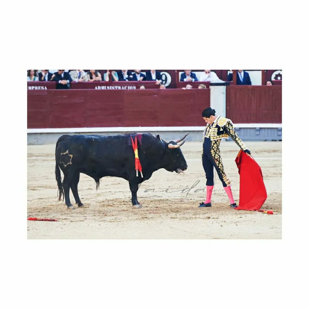 <a href="/aletalavante/">Alejandro Talavante</a>

📷 <a href="/AnaLaidaa/">Ana Laida</a>