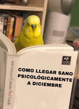 alonzomarin's tweet photo. Yo, después de enterarme de los ovnis y la viruela del mono https://t.co/omHAPh2uS2