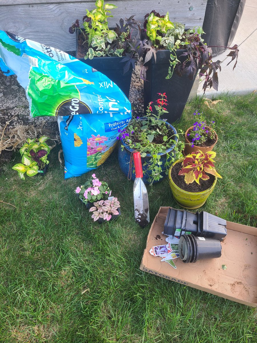 "Do more things that make you forget to check your phone"
#thisisiowa #springflowers #getoutdoors