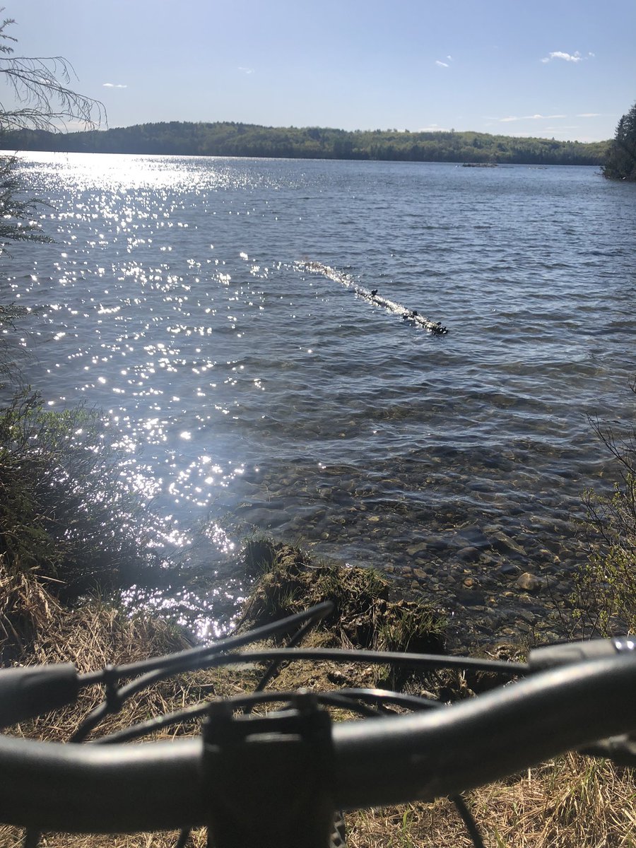 jageddes's tweet photo. End of the trail today #GetOutsideEveryday https://t.co/I4wVZMDVyl