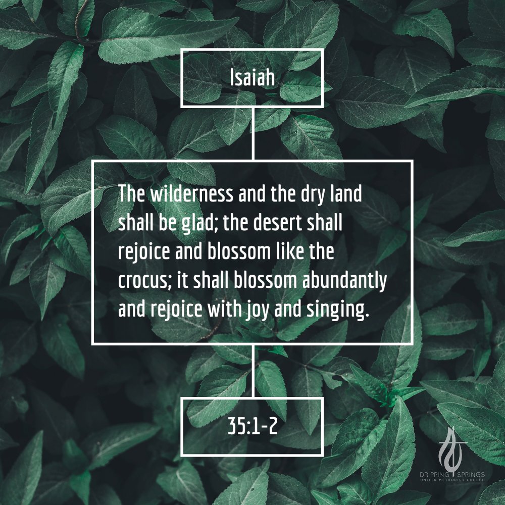 DSMethodist tweet picture